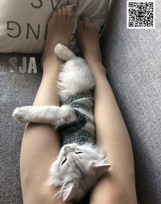 国产洗衣机哪个品牌的好_国产剧免费全集观看